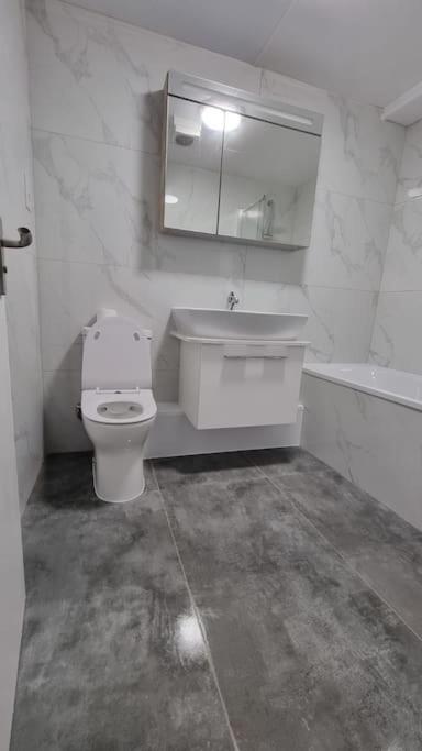 Brand New Flat Close To Turnpike Lane Tube Station London Kültér fotó